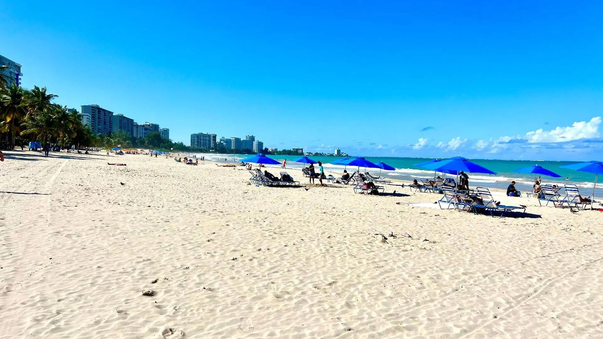 Beachfront Tropical Tantra Apartment サンジョアン プエルトリコ