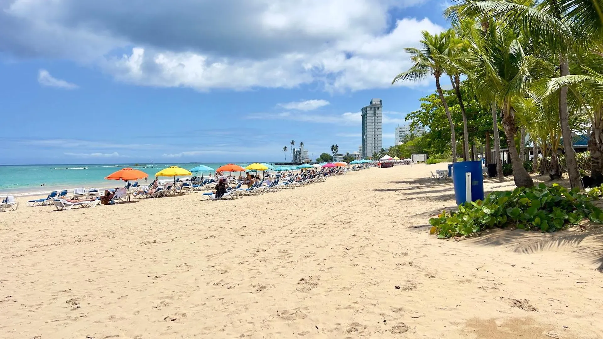 Beachfront Tropical Tantra Apartment サンジョアン プエルトリコ